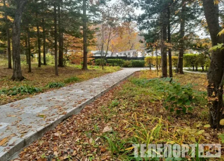 Отпуск на время осенних каникул детей берут родители Благовещенска