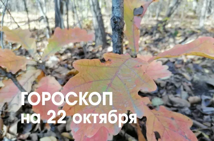 Хорошие новости и приятные сюрпризы ожидают Овнов 22 октября
