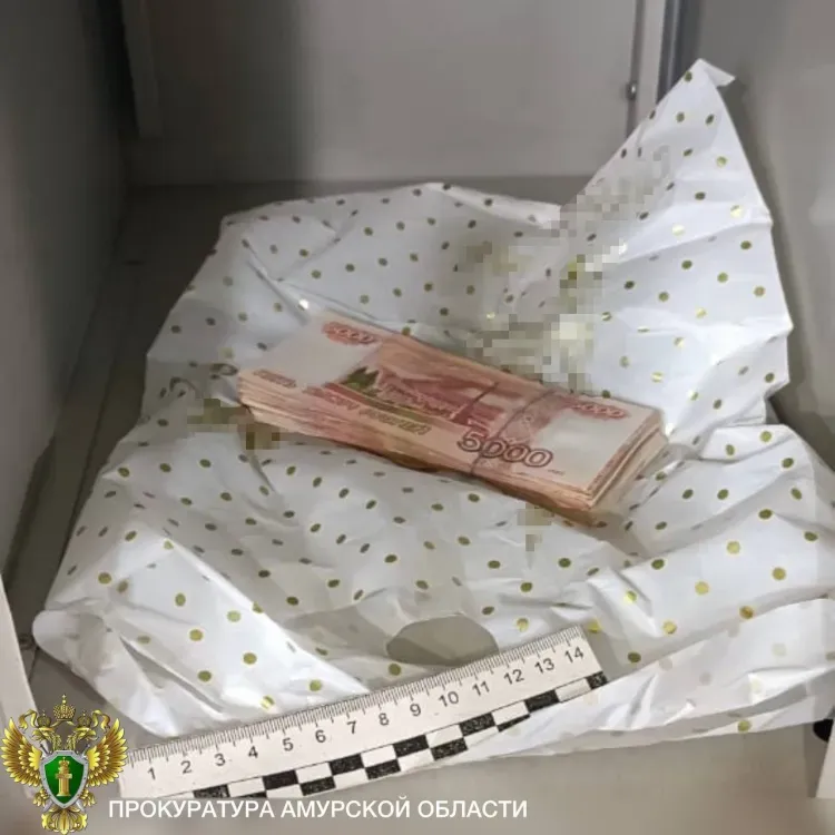 Деньги для взятки оставили в супермаркете Благовещенска