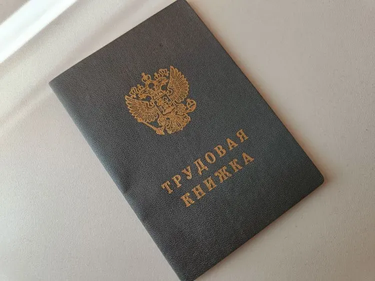 Мигрантам, приехавшим в Приамурье, могут запретить работать в сфере изучения недр