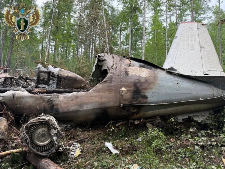 Минлесхоз потребовал компенсацию после крушения самолета в Приамурье