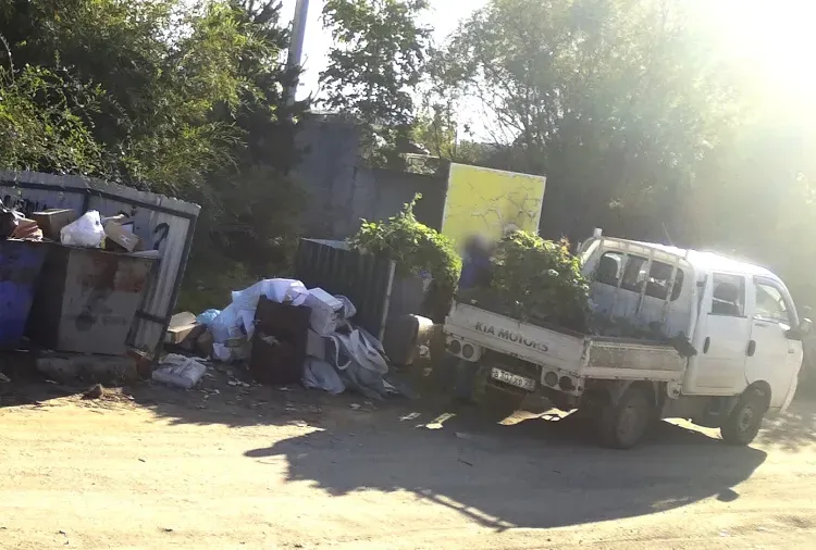 Ветки и трава в мусорном контейнере обернулись для благовещенца штрафом