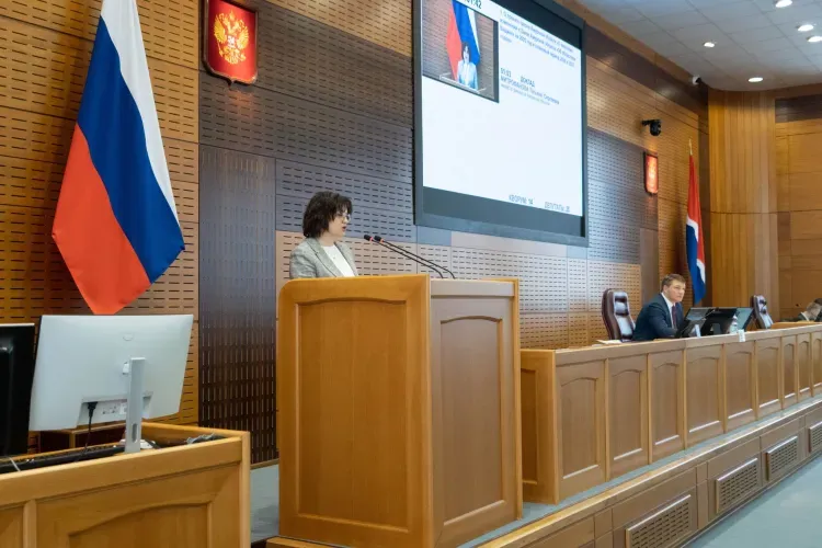 Мост через Зею в Благовещенске отремонтируют более чем за 134 миллиона рублей