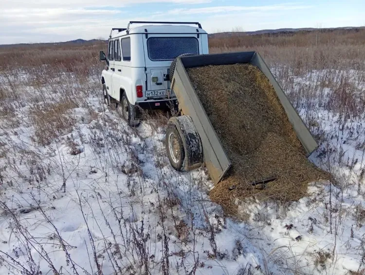 "Зимние столовые" для животных и птиц открывают в заказниках Приамурья