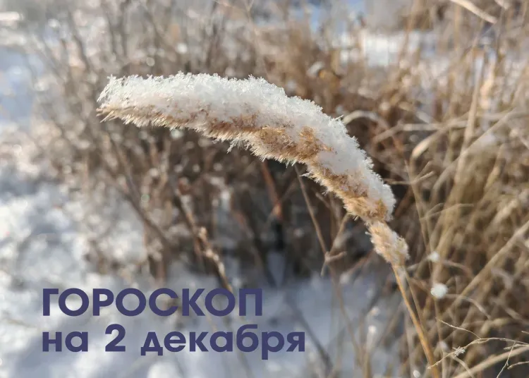 Новые возможности и позитивные изменения готовит судьба для Стрельцов 2 декабря 