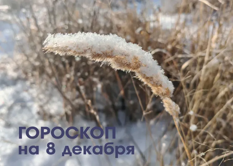 Выйти из зоны комфорта не стоит бояться Близнецам 8 декабря