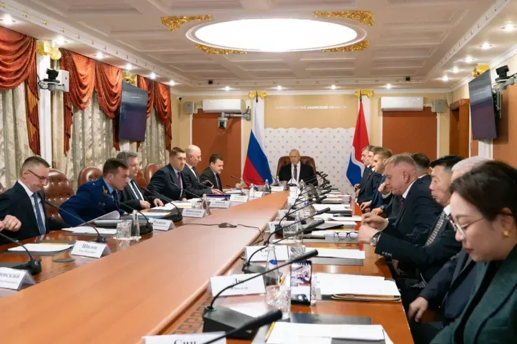 ВЭС, парк "Союзмультфильма" и новые районы: в Благовещенске обсудили проекты на 150 миллиардов рублей