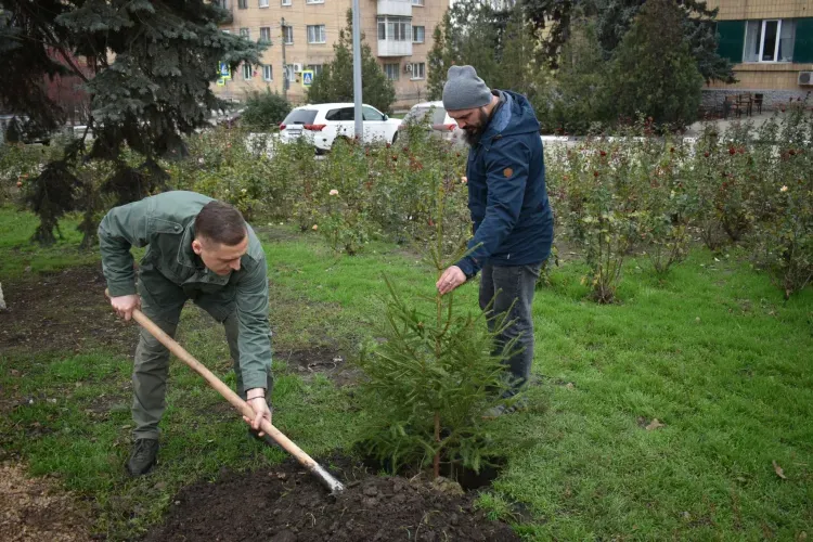 Ели и березы высадили амурчане на территории ДНР