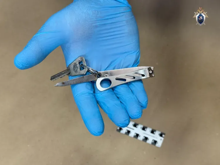 Кусачки для ногтей стали орудием убийства в поселке Амурской области