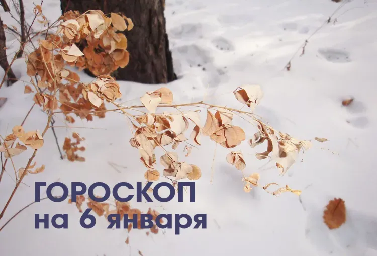 Гороскоп перед Рождеством. Благоприятный день для общения и укрепления отношений будет у Тельцов 6 января