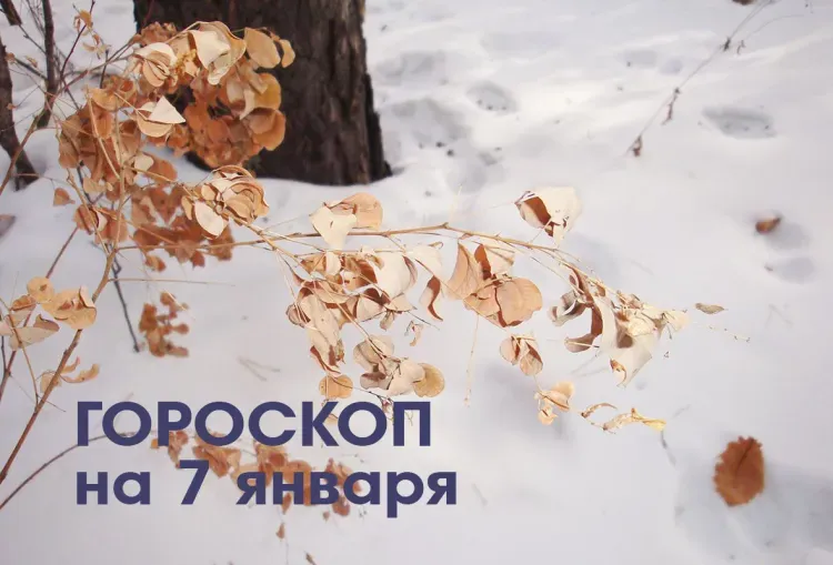 Гороскоп на Рождество. Порадовать близких приятным сюрпризом могут Раки 7 января