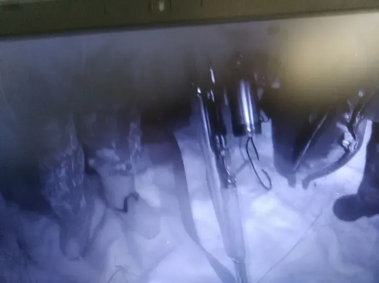 Браконьеры охотились на копытных с помощью лампы-фары в Мазановском округе