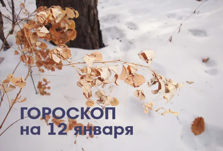 Удачный гороскоп для Скорпионов на 12 января