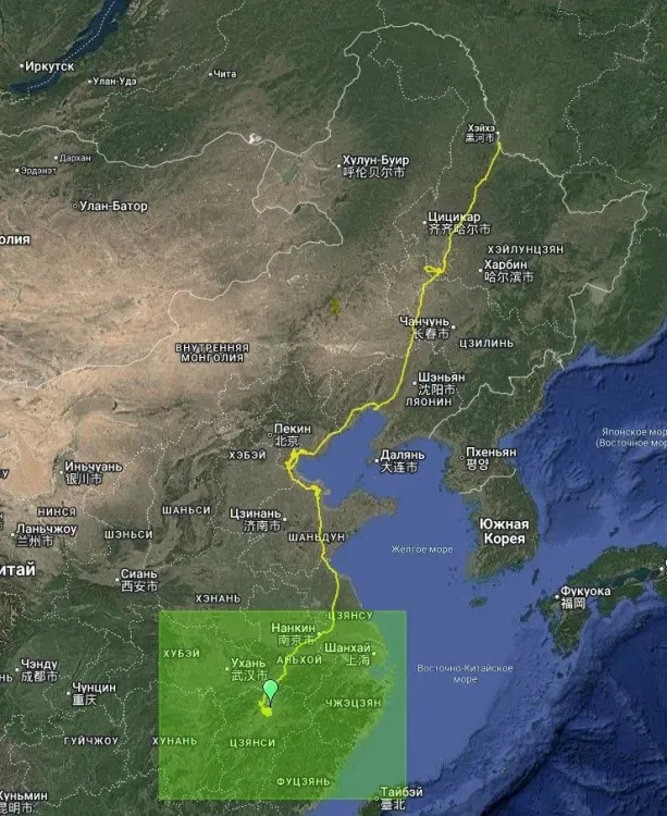 Окольцованного в Приамурье аиста обнаружили китайские ученые