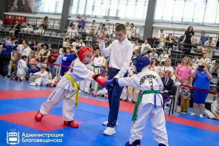 Турнир по тхэквондо памяти Героя России состоялся в Благовещенске 