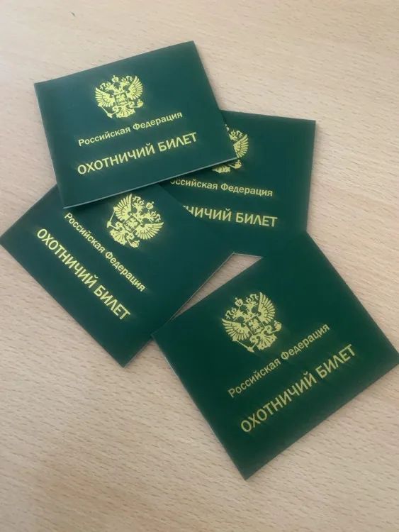 Охотничьи билеты получили не все: в Приамурье подвели итоги экзамена