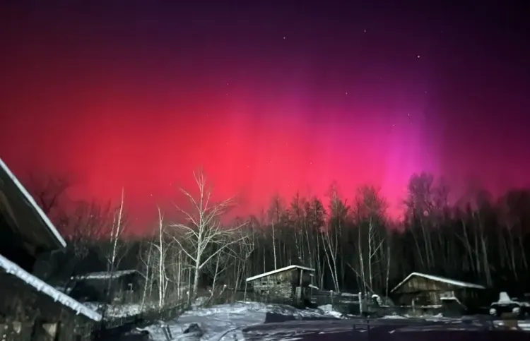Красота в темноте: северное сияние сняли на камеры в Приамурье 