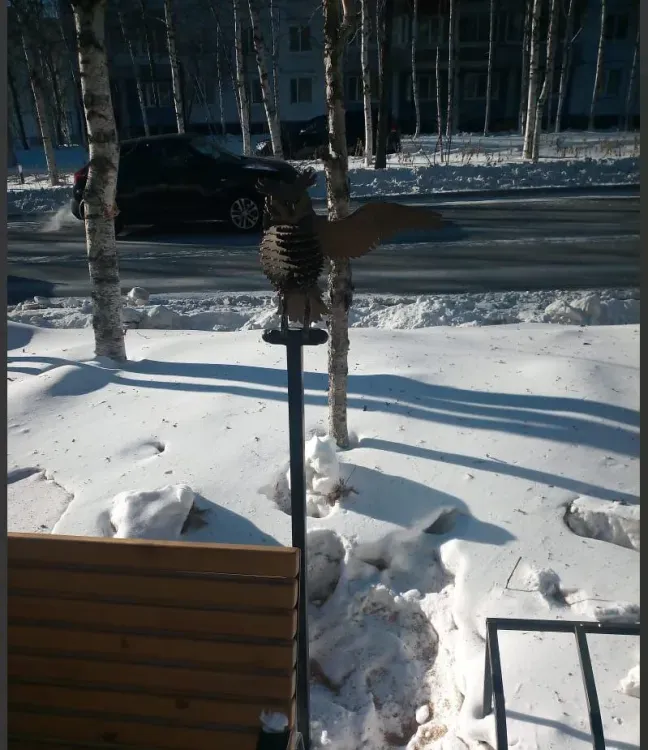 Крыло оторвали металлической сове в Тынде