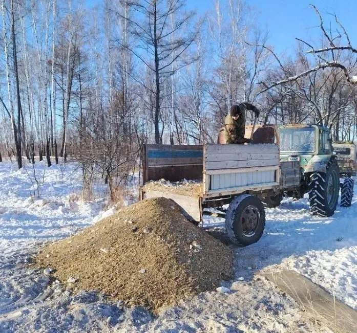 Охотоведы обеспечили копытных в амурских заказниках зерном и сольюи