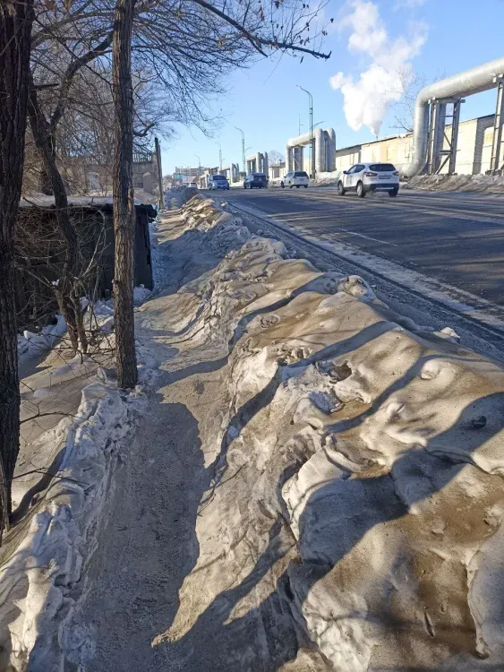 Тропинка вместо тротуара: зону для пешеходов раскритиковали в Благовещенске