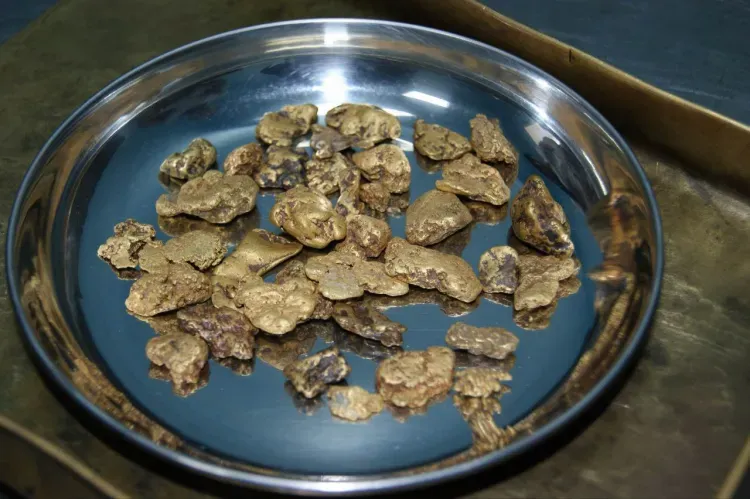 Добыча золота и серебра в Зейском округе обернулась штрафом для нарушителя