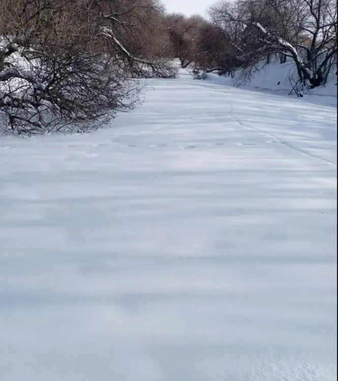 Сугробы в заказниках Амурской области достигли полуметра