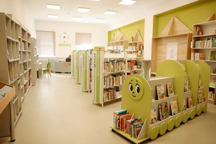 Пять библиотек Приамурья станут модельными благодаря областной субсидии