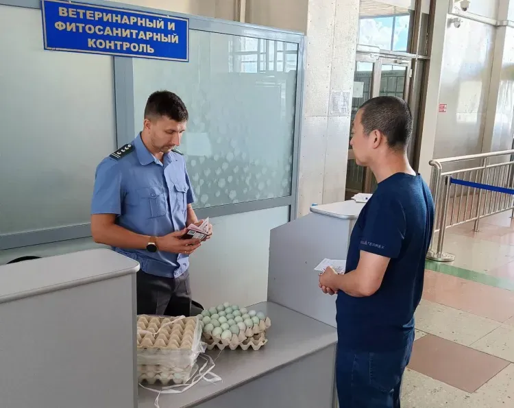 Мясопродукты из Китая были изъяты из ручной клади на амурской границе