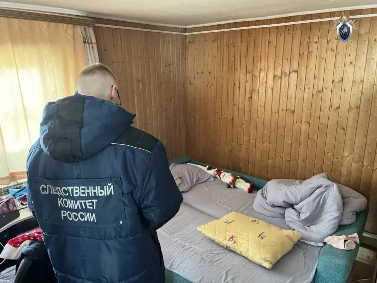 Задушила сына: жительницу Шимановска подозревают в убийстве малолетнего ребенка