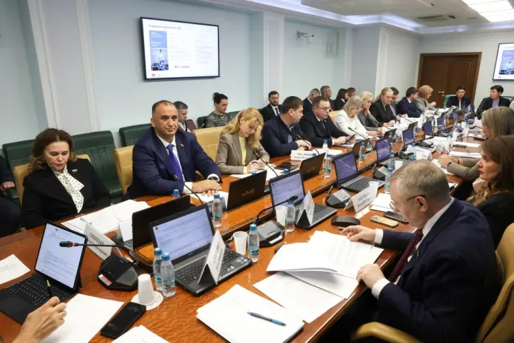 Строительство онкоцентра и других объектов в Приамурье поддержали в Совете Федерации