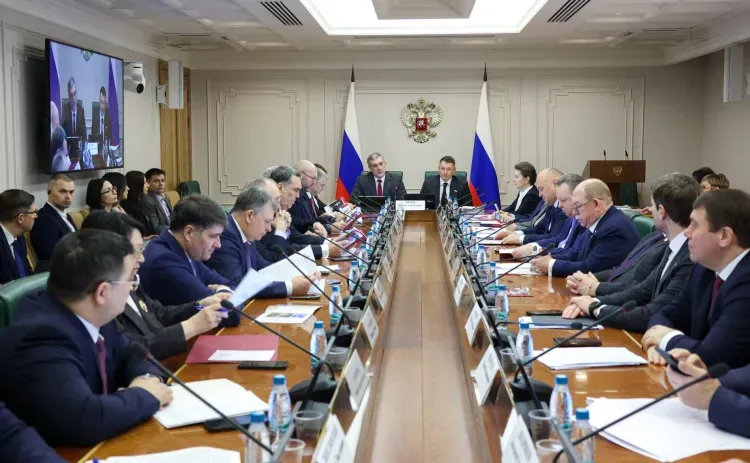 Поддержку аграриев и финансирование противопаводковых мер в Приамурье поддержали сенаторы