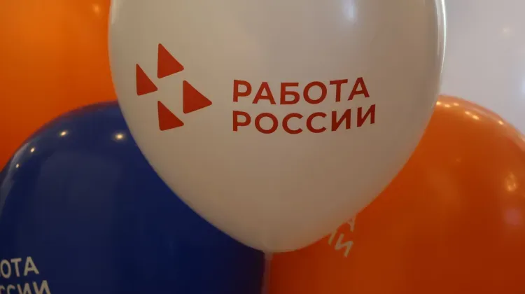 Модернизированные Кадровые центры «Работа России» открылись в Амурской области