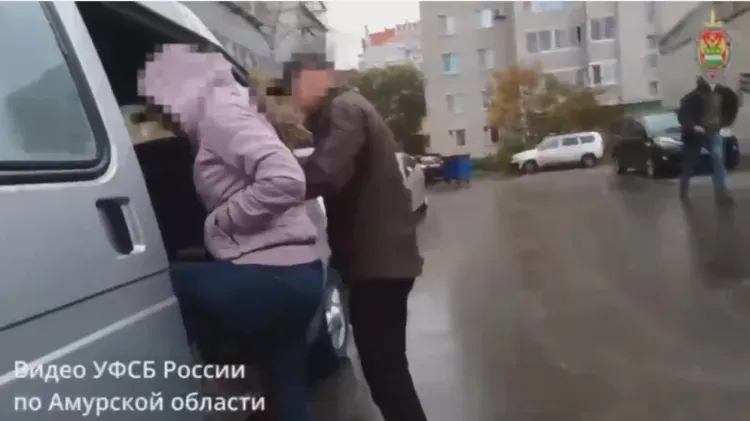 Амурчанка вместе с нижегородцами организовала канал незаконной миграции