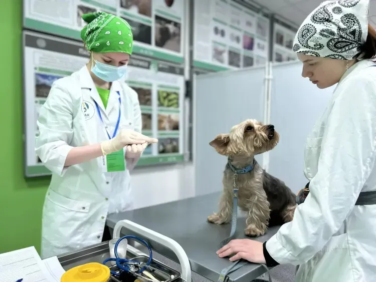 Студенты из России, Китая и Беларуси соревнуются в профмастерстве в Приамурье