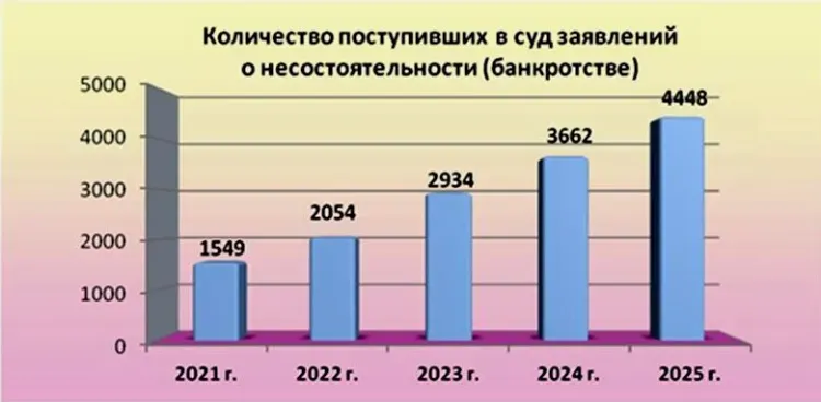 Число банкротств физлиц неуклонно растет в Приамурье