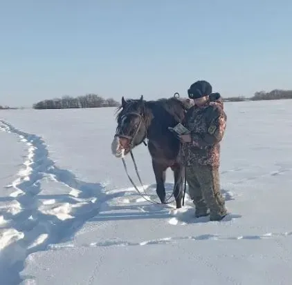 Фазанов стало меньше в Приамурье