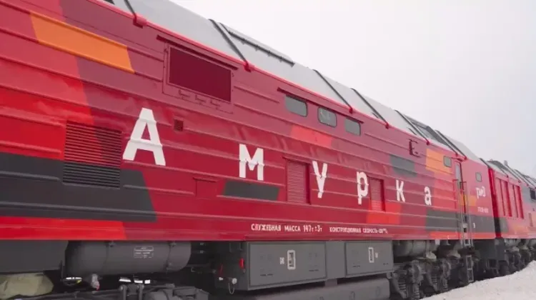 Амурский тигр в депо: тепловоз с полосатым хищником будет работать в Тынде