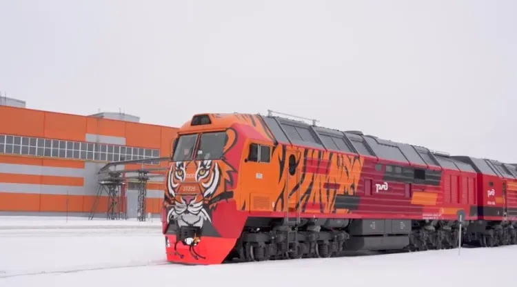 Амурский тигр в депо: тепловоз с полосатым хищником будет работать в Тынде