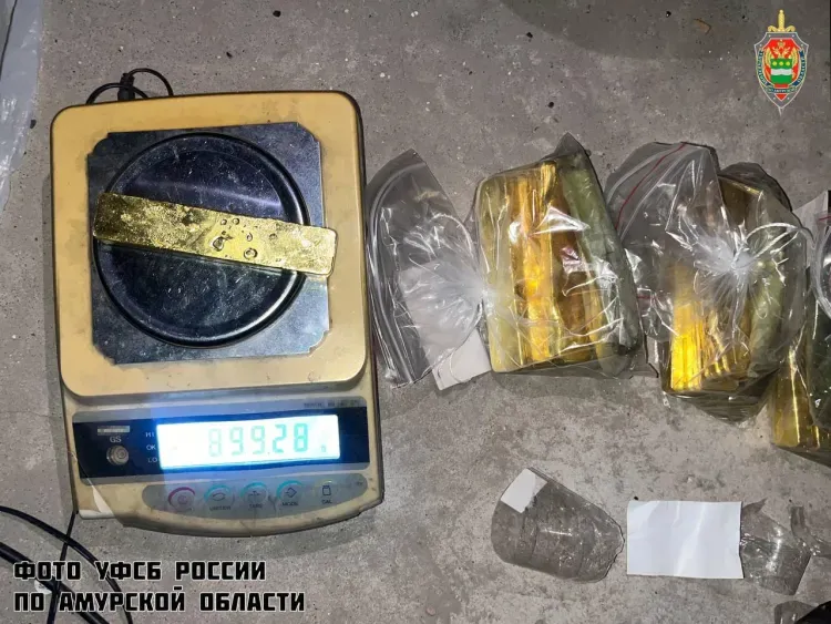 Иностранец спрятал золото в вентиляции благовещенской квартиры и получил штраф