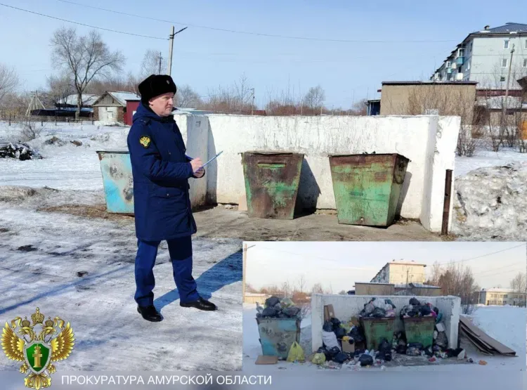 Переполненные мусорные баки в Архаре заинтересовали прокуратуру