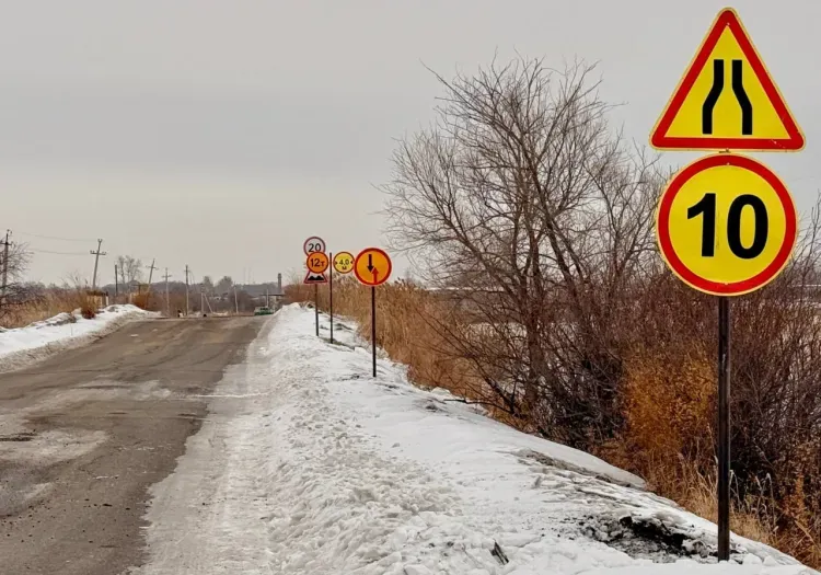 На проезд по мосту в село Низинное в Приамурье ввели ограничения