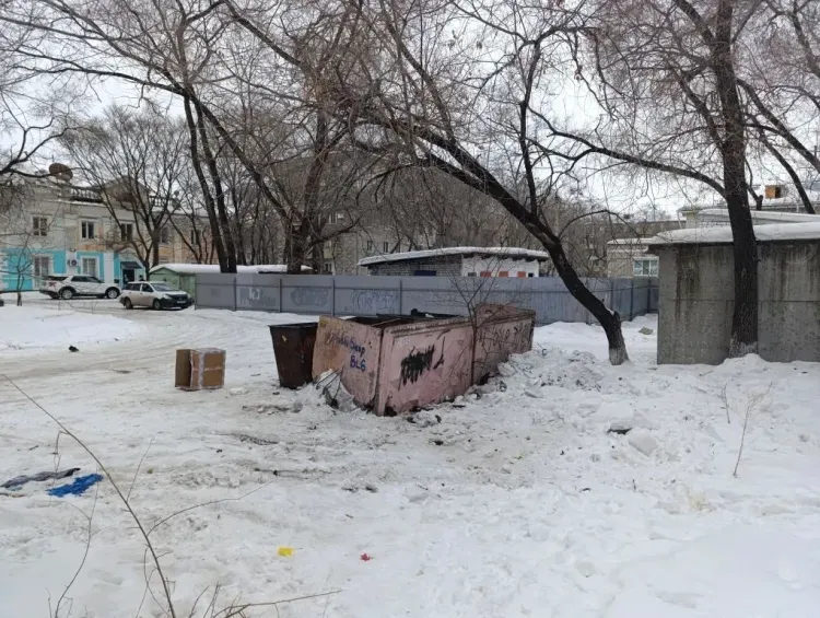 Безнадзорный пустырь в центре Благовещенска