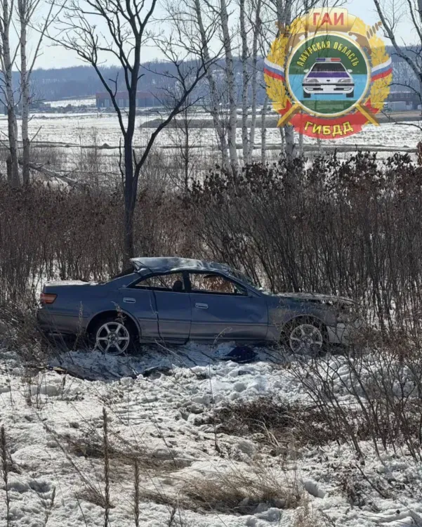 Пять человек пострадали в одиночном ДТП на трассе Благовещенск - Свободный