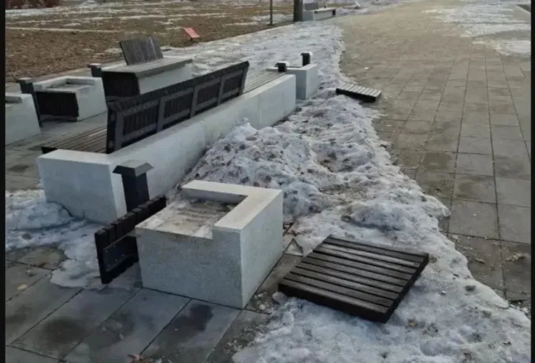 Мужчину, сломавшего скамейки на набережной Амура, задержали