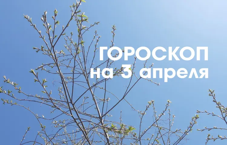 Твой знак, твоя судьба: 3 апреля - убывающая Луна в знаке Весы и Скорпион делает людей более открытыми для общения и взаимодействия