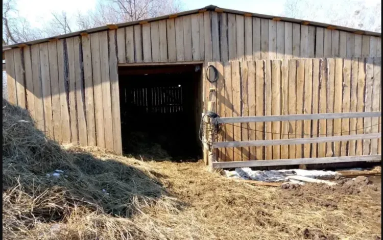 Ветеран спецоперации продолжит развивать свое молочное хозяйство
