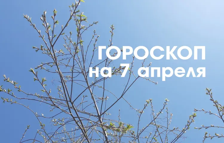 Твой знак, твоя судьба: 7 апреля - убывающая Луна в знаке Стрелец дает возможность правильно распределить свои силы и внимание