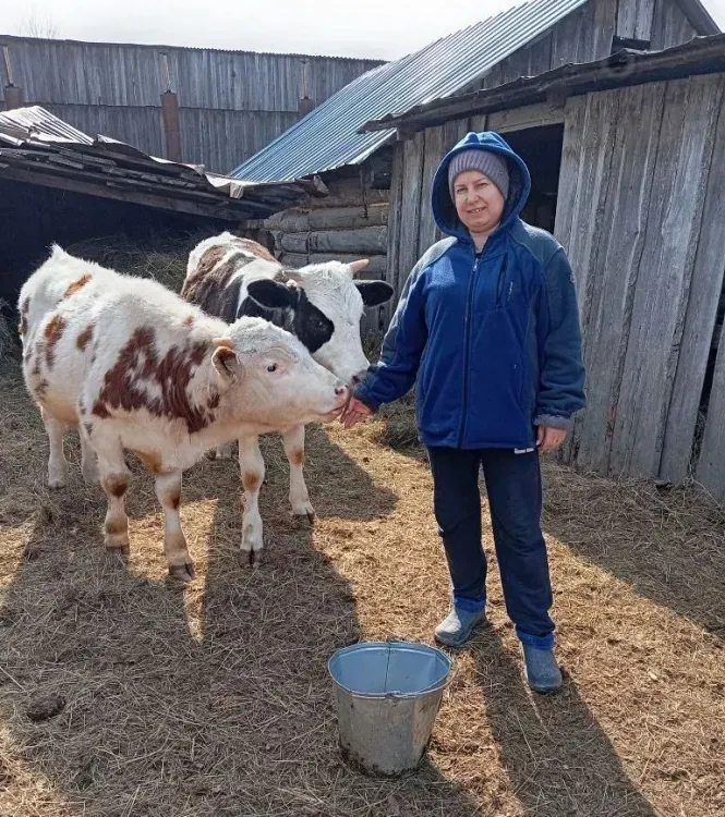 Многодетная мама из Приамурья расширила хозяйство благодаря соцконтракту