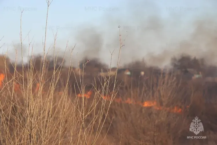 Костер для согревания обернулся пожаром: дети оставили огонь без присмотра
