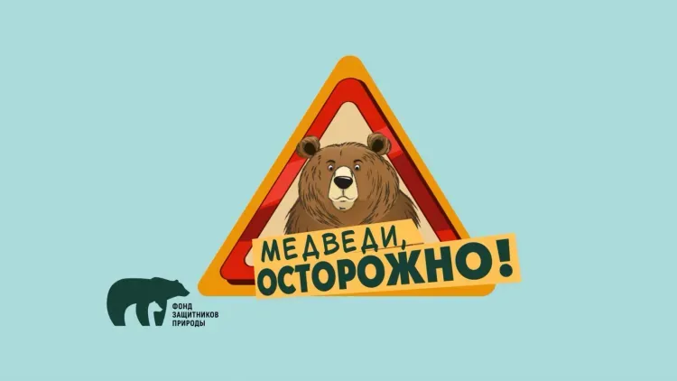 ВТБ и Фонд защитников природы запускают проект «Земля медведя»
